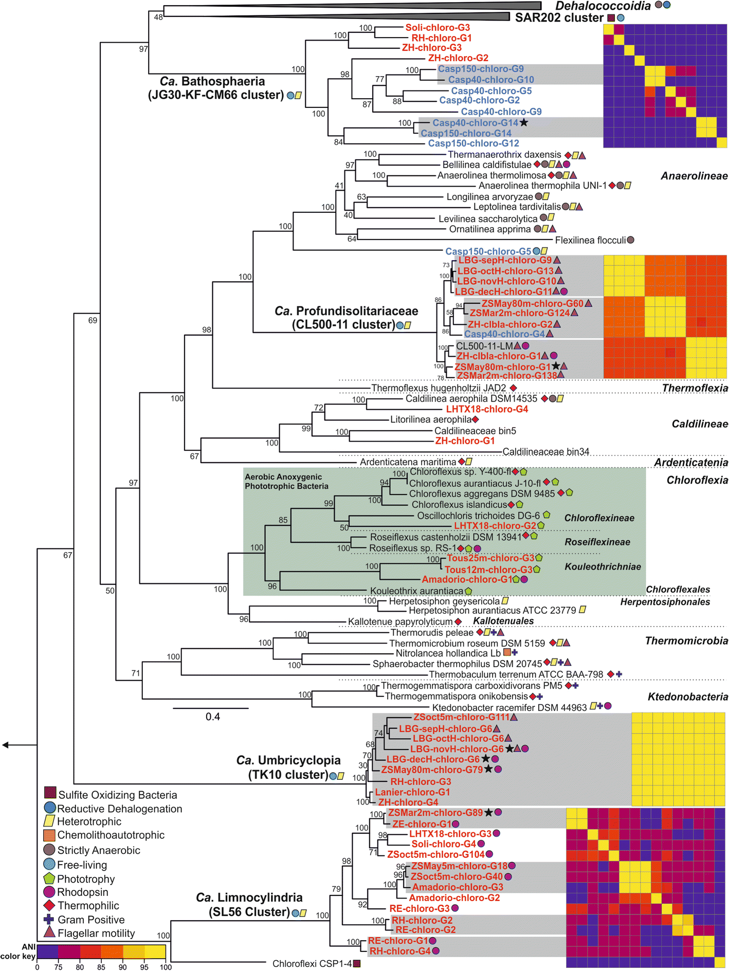 Fig. 2