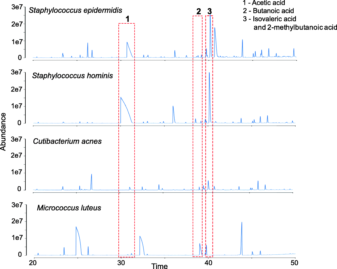 Fig. 5