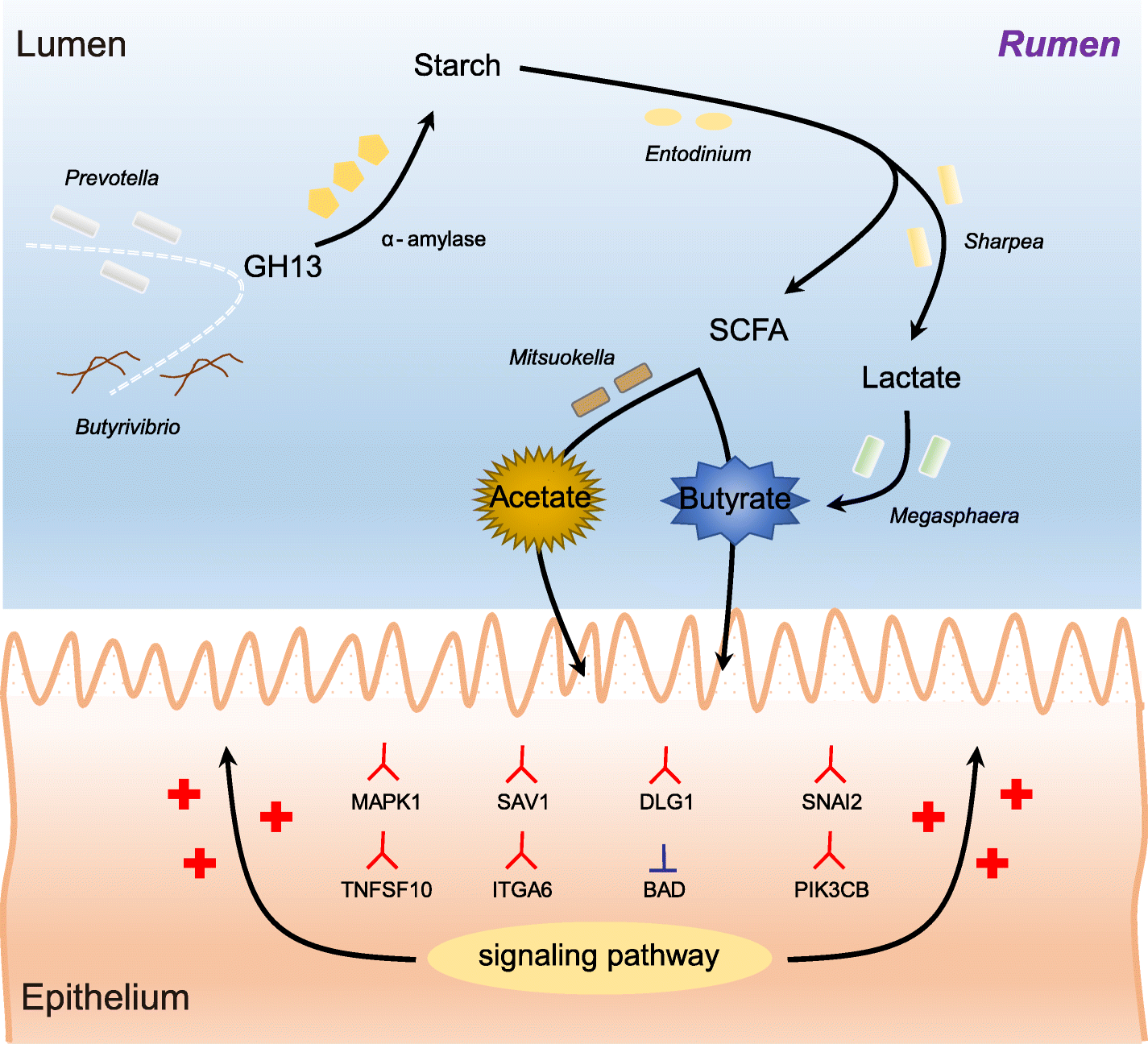 Fig. 9