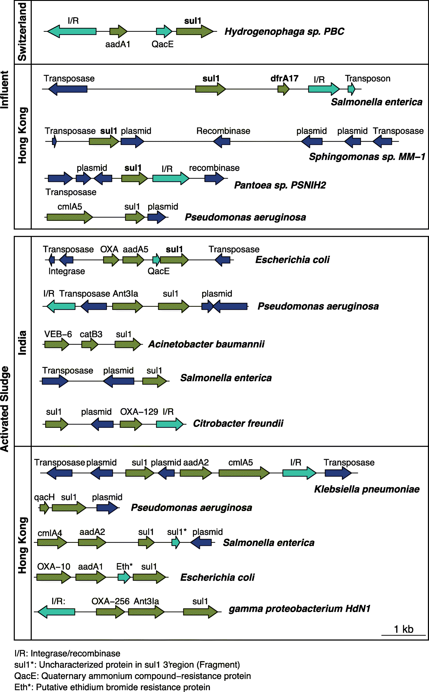 Fig. 11