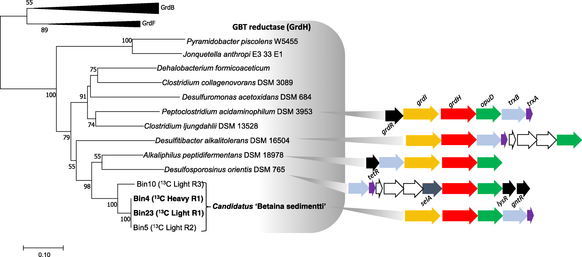 Fig. 4