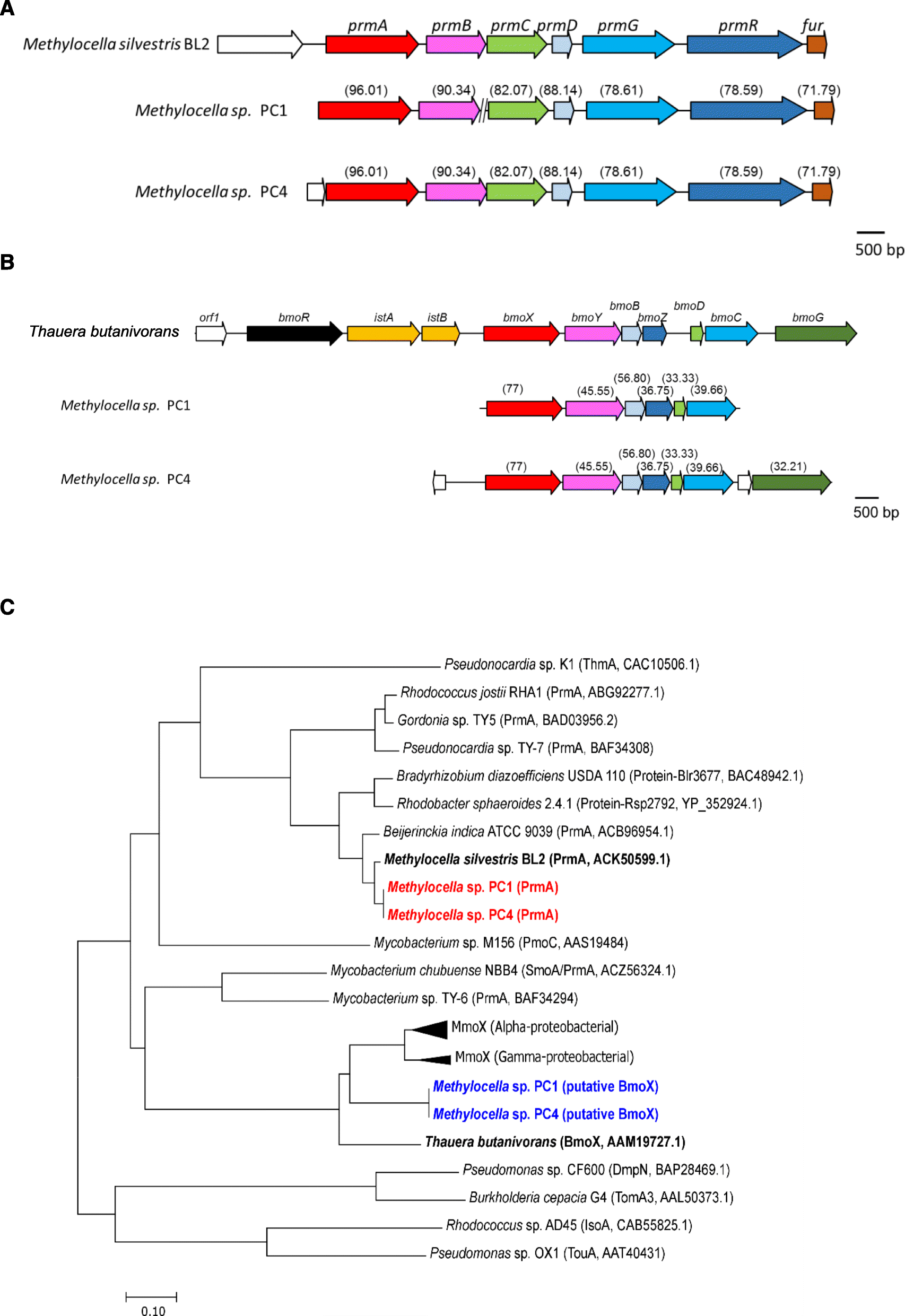 Fig. 7