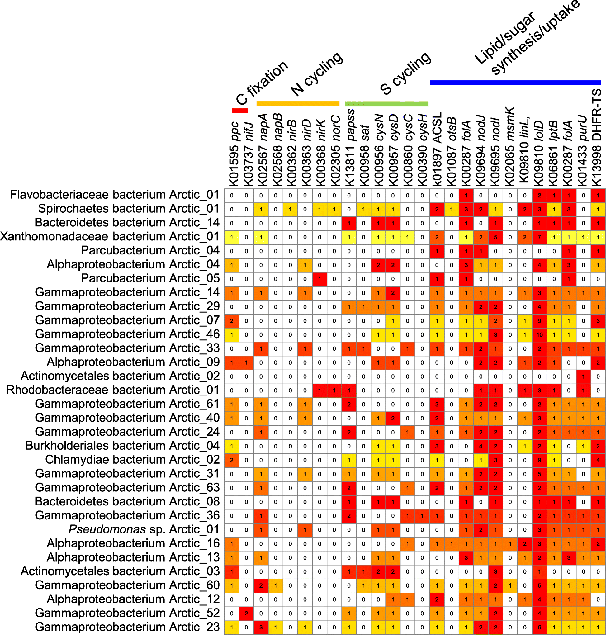 Fig. 7