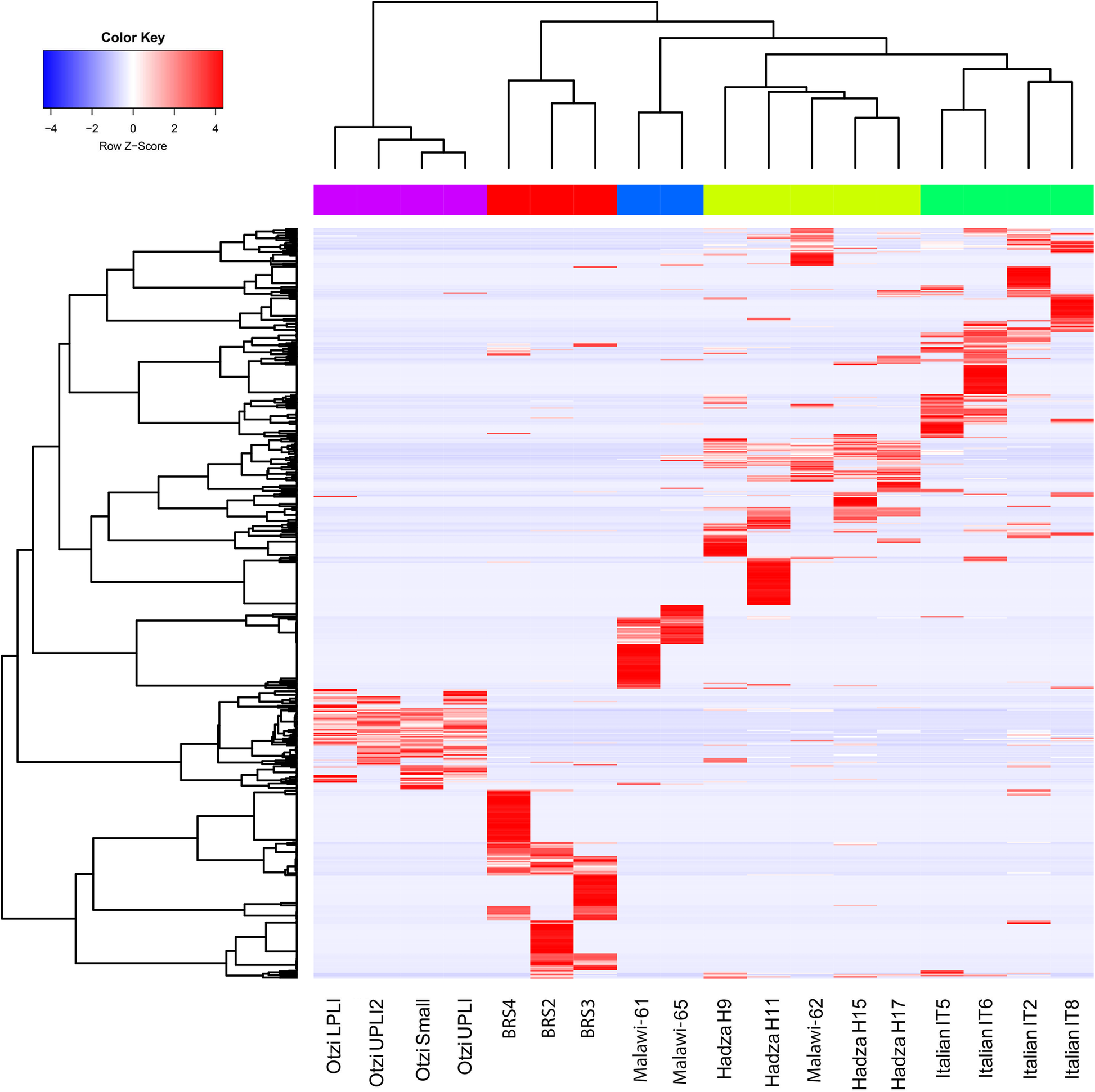 Fig. 3