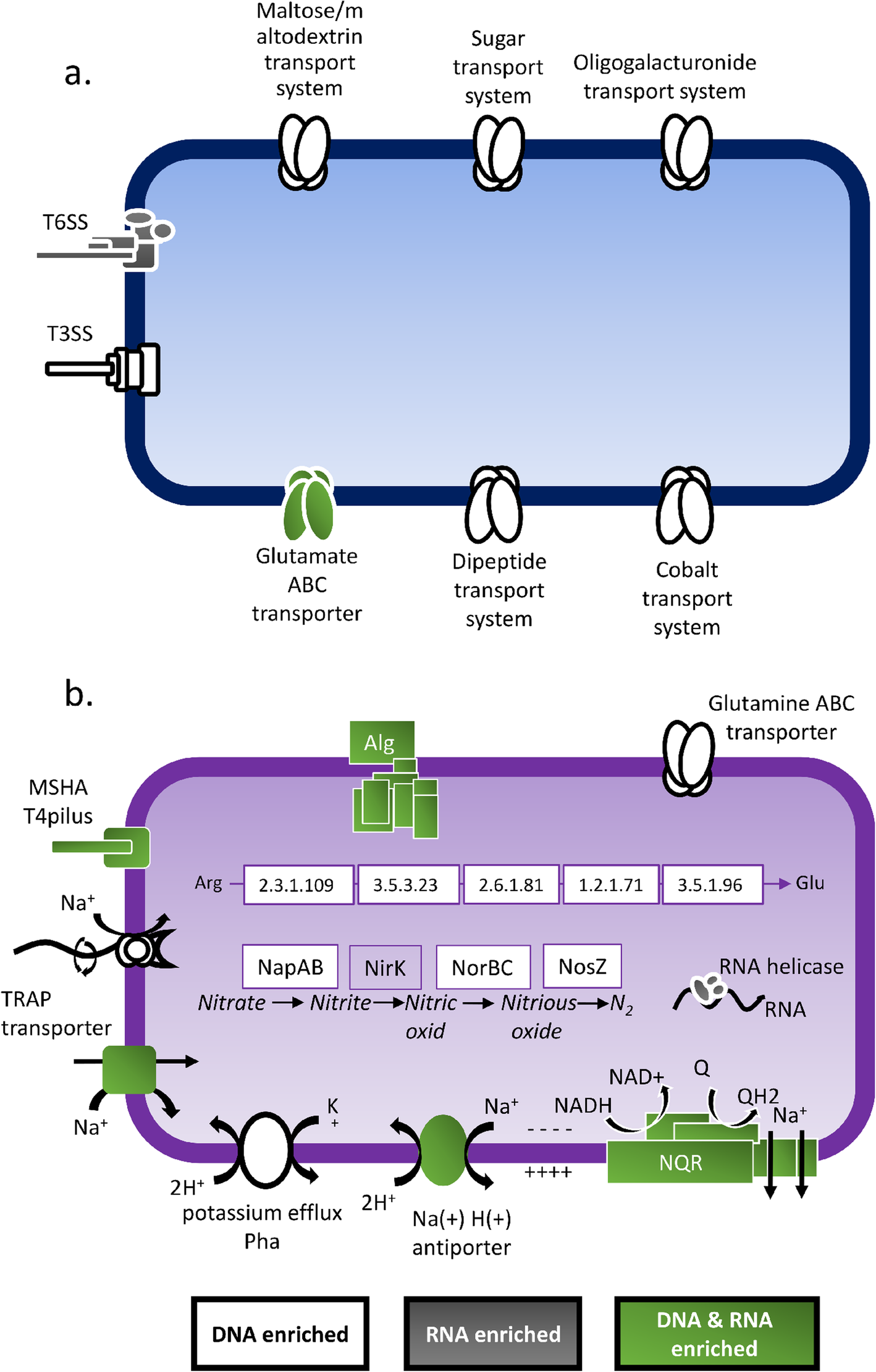 Fig. 7