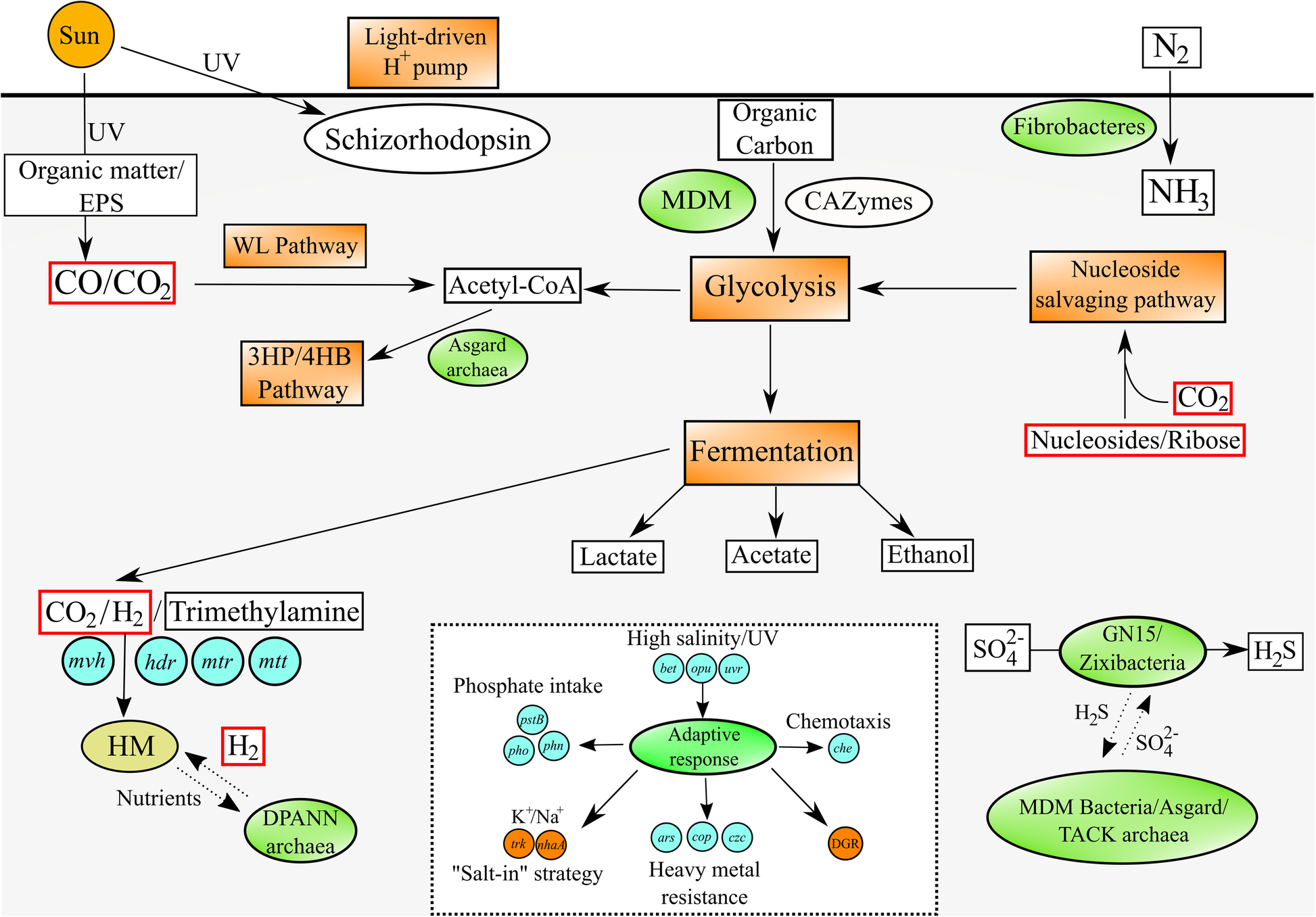 Fig. 6