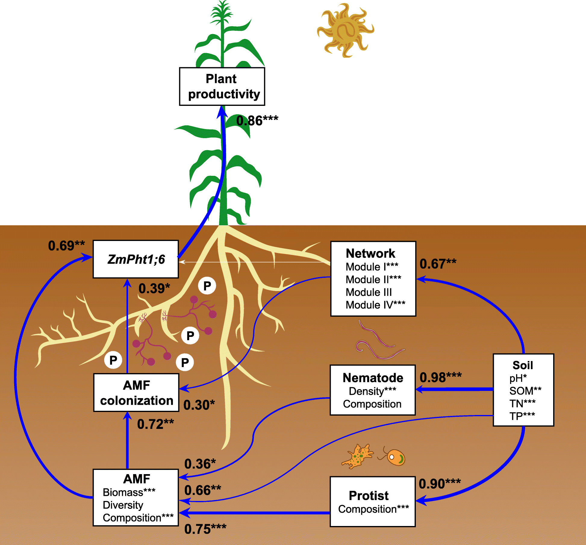 Fig. 6