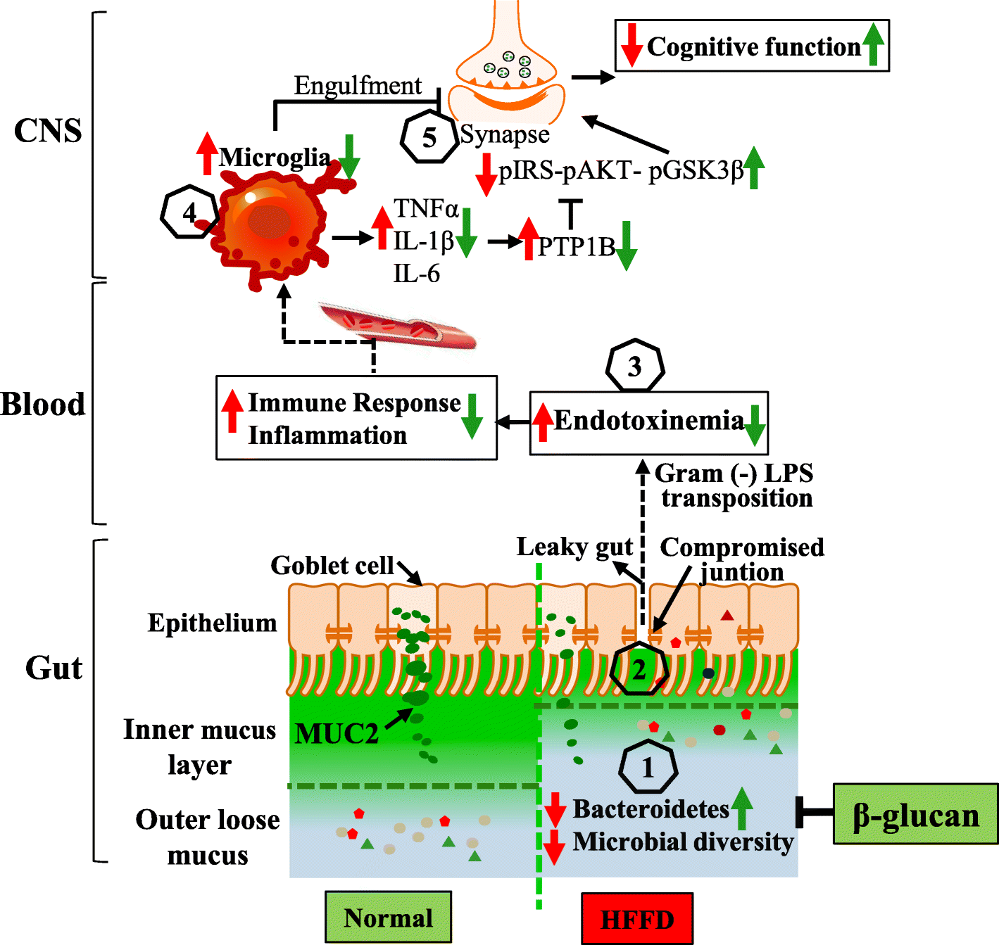 Fig. 8