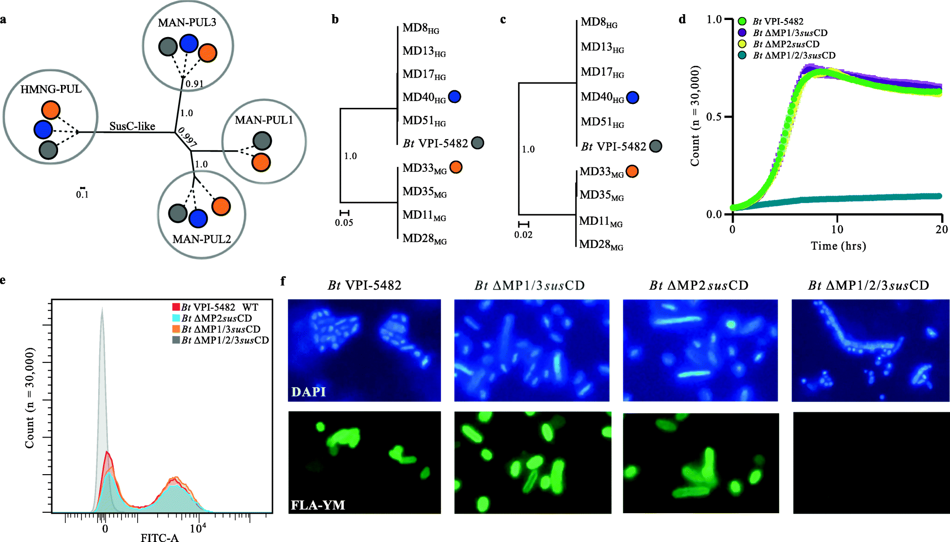 Fig. 5