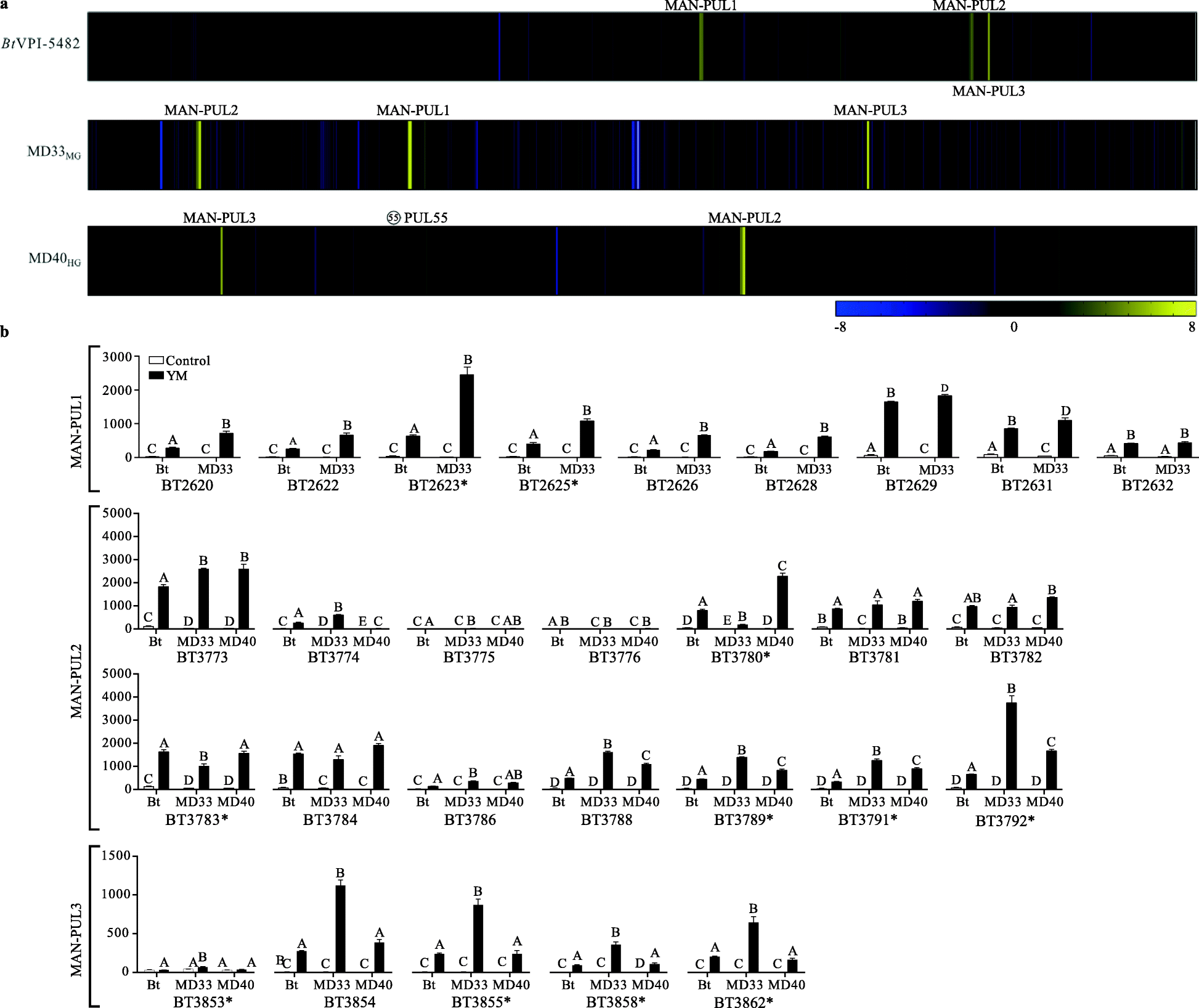 Fig. 6