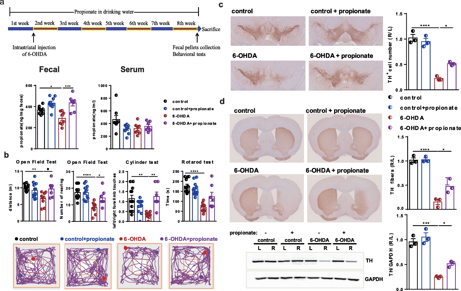 Fig. 6