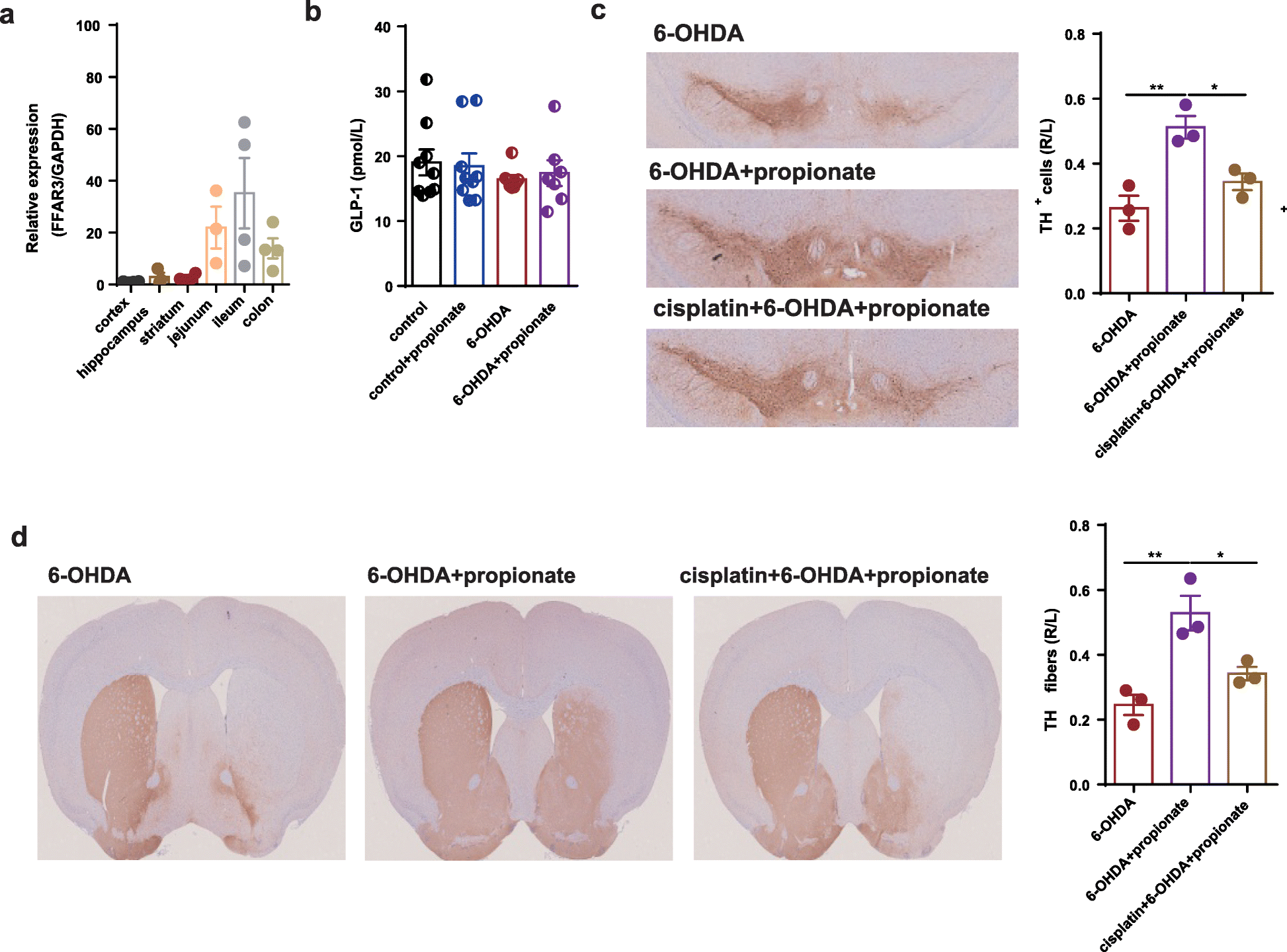 Fig. 8