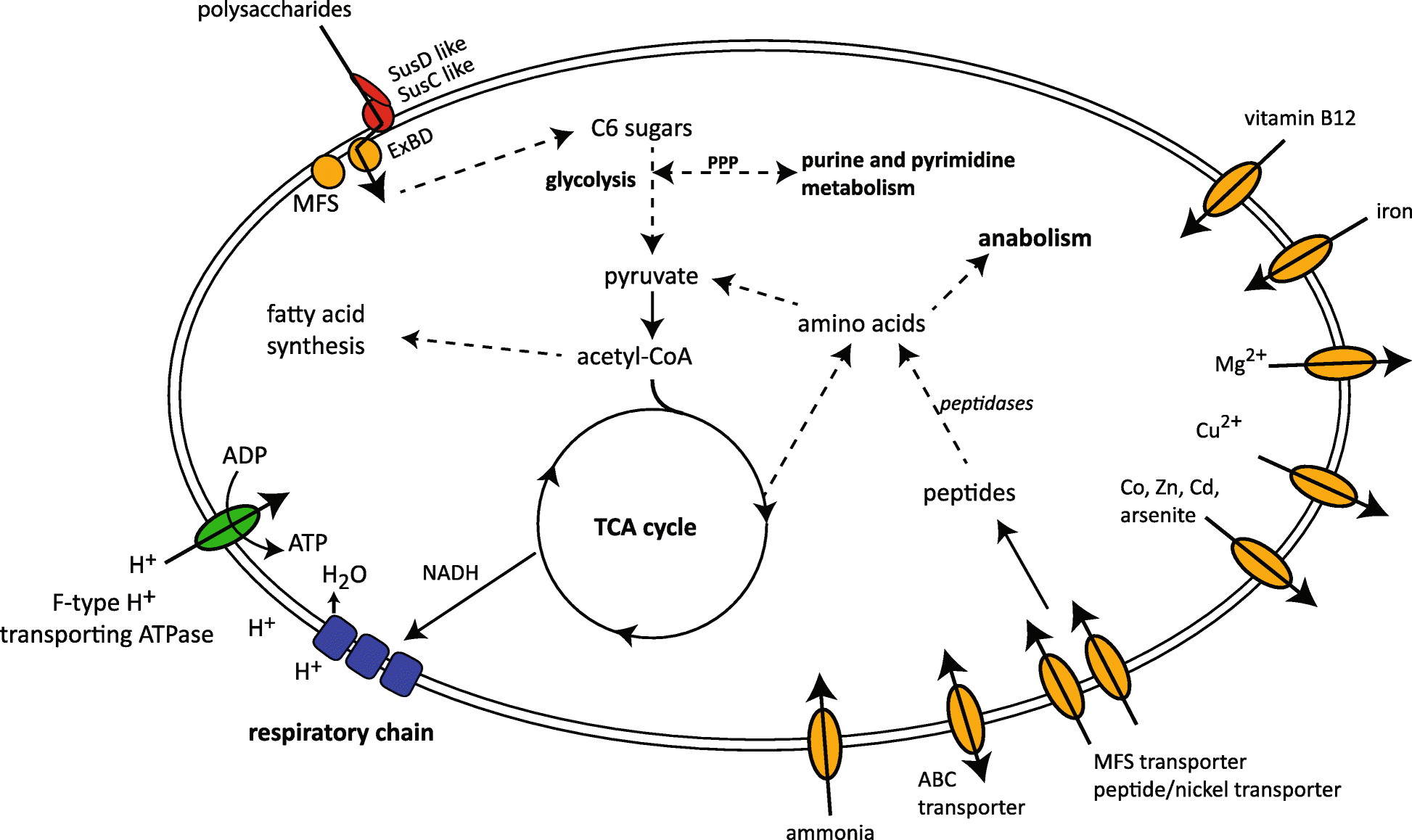 Fig. 6