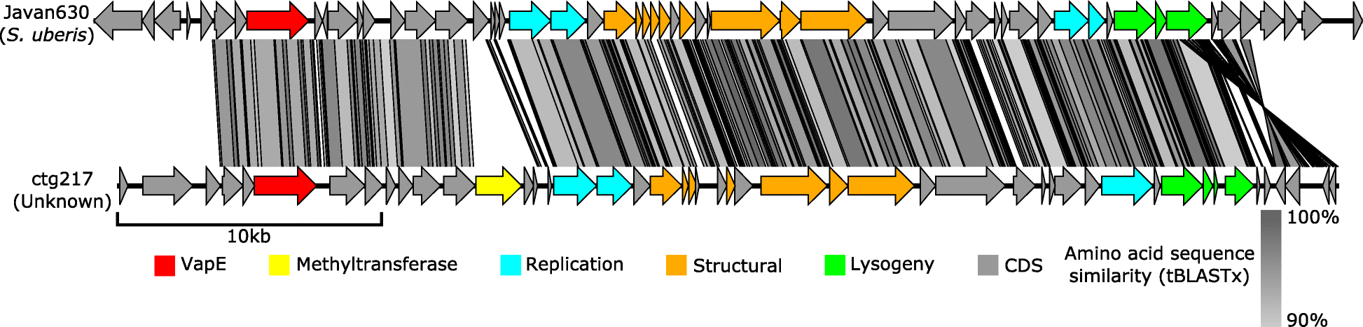 Fig. 5