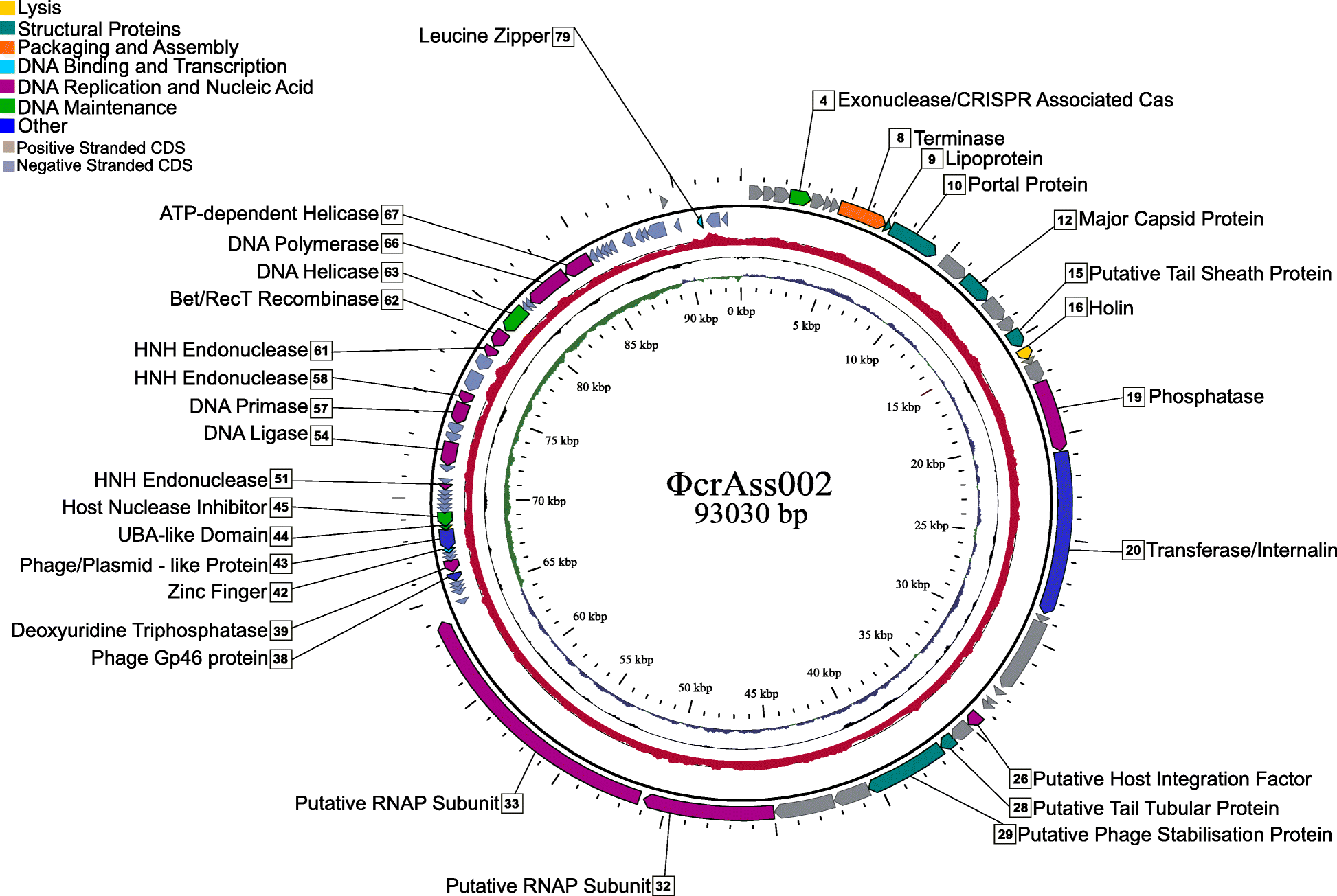 Fig. 2