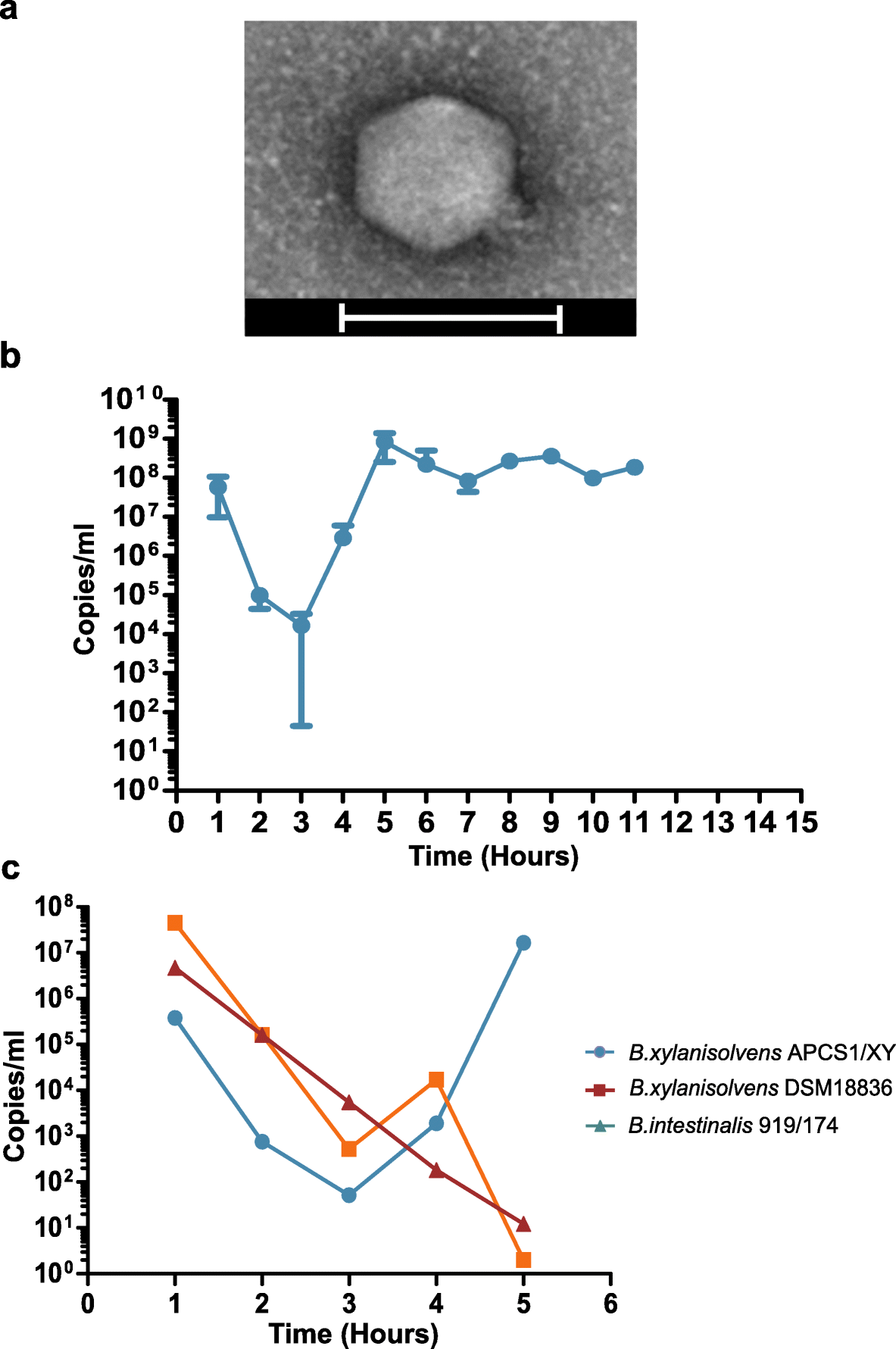 Fig. 5