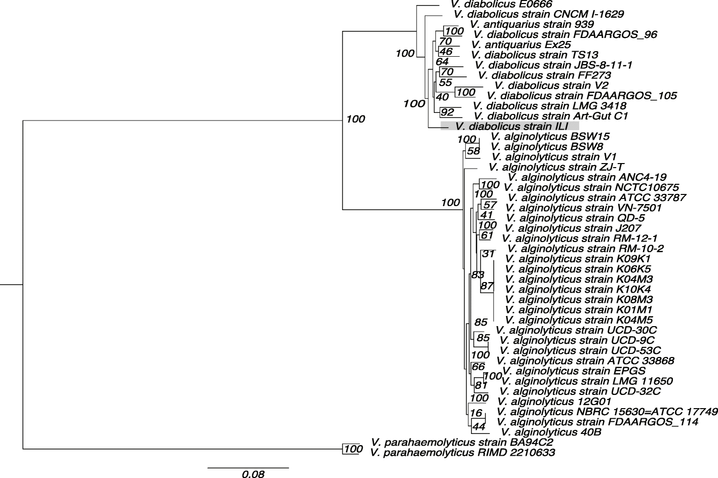 Fig. 6