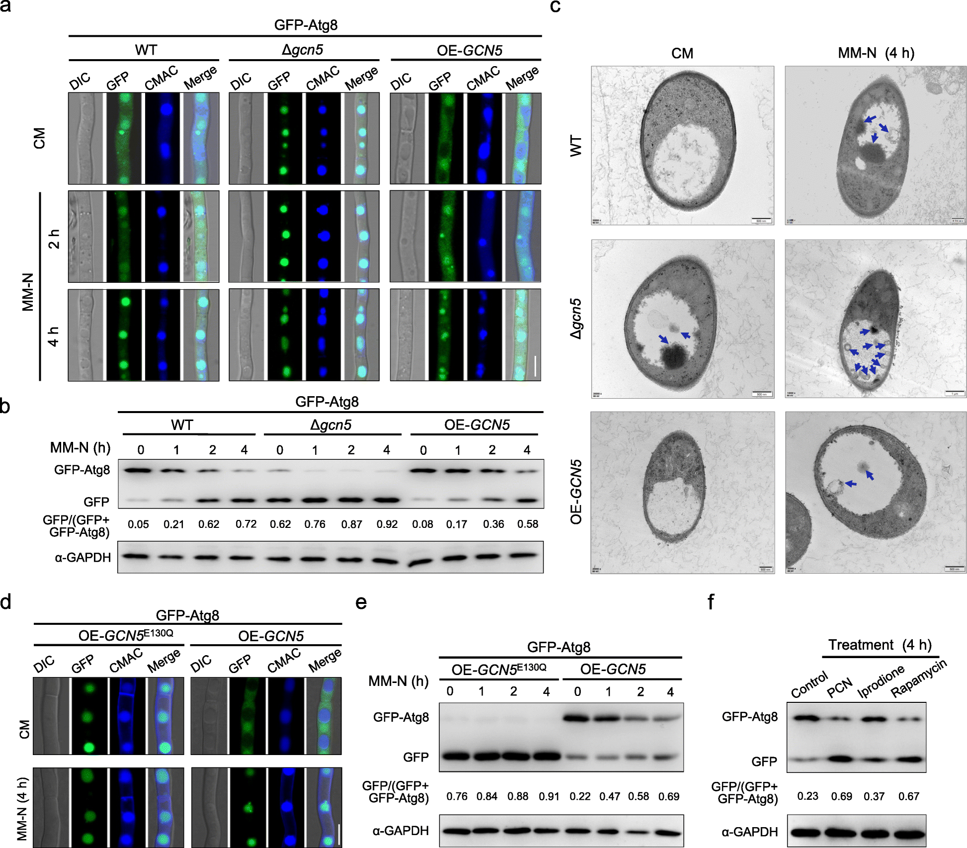 Fig. 3