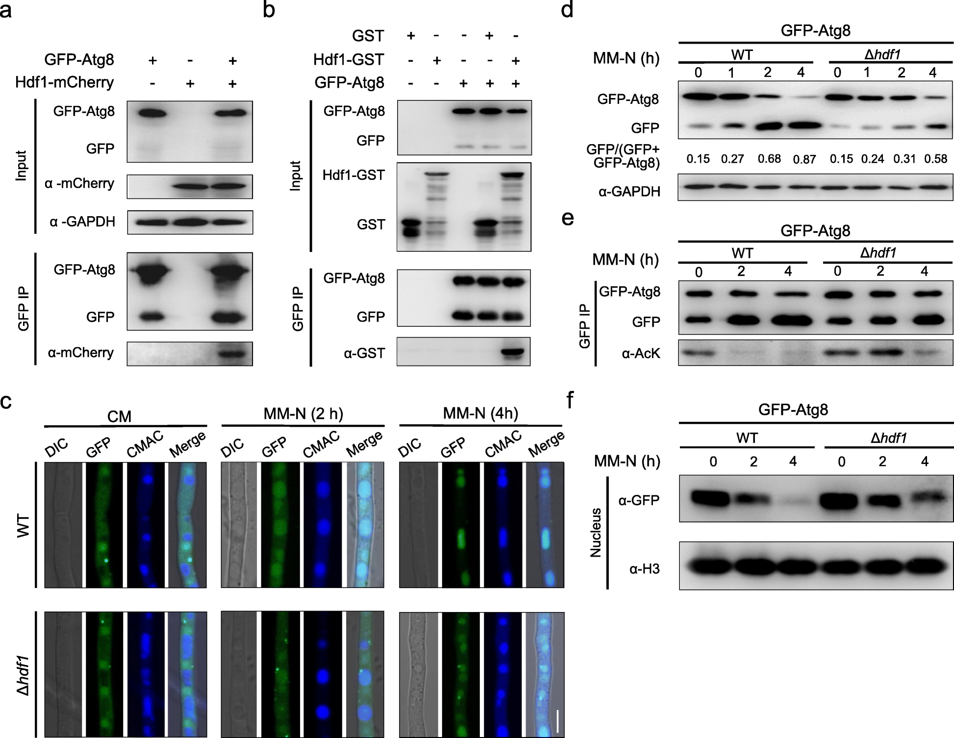 Fig. 6