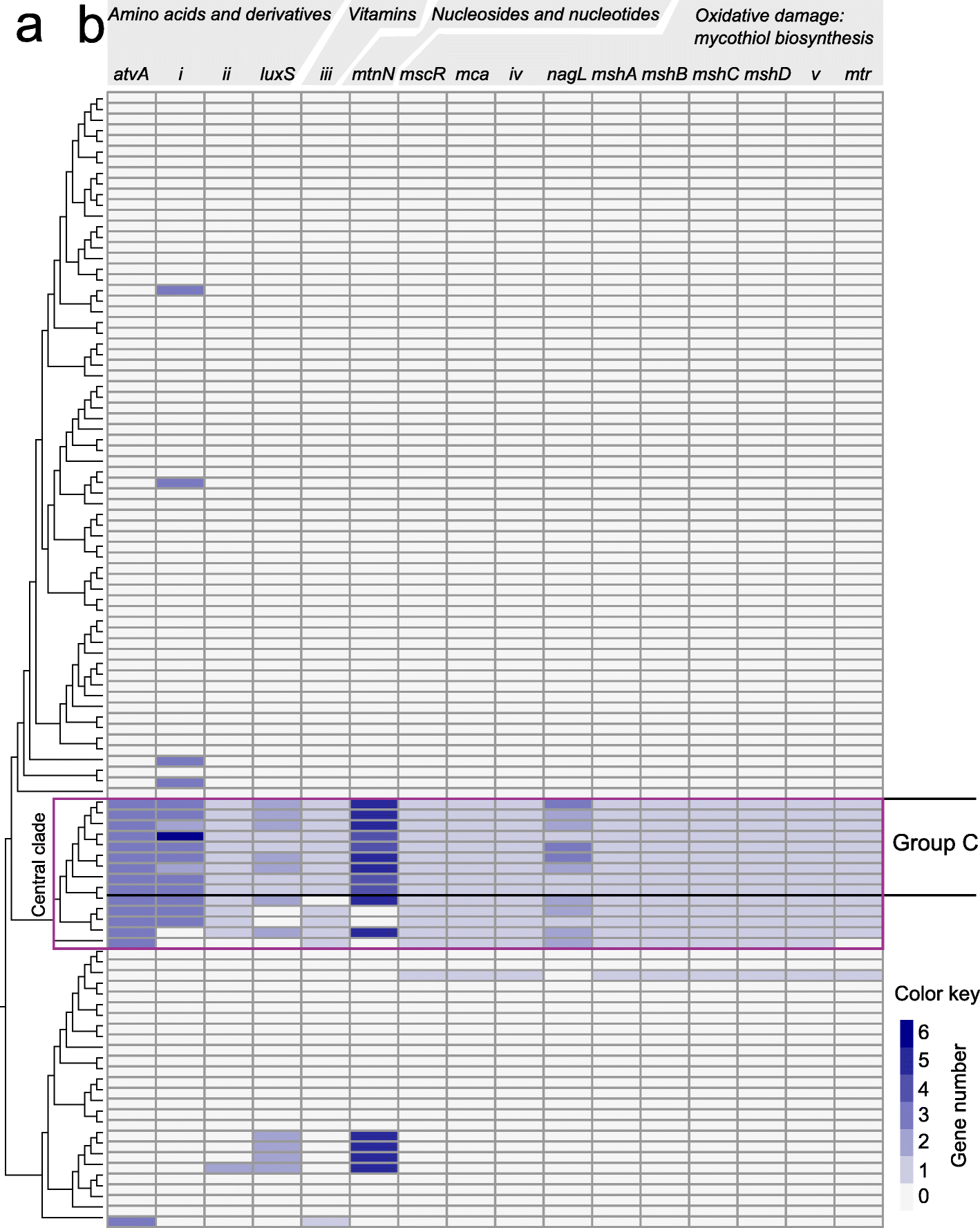 Fig. 4