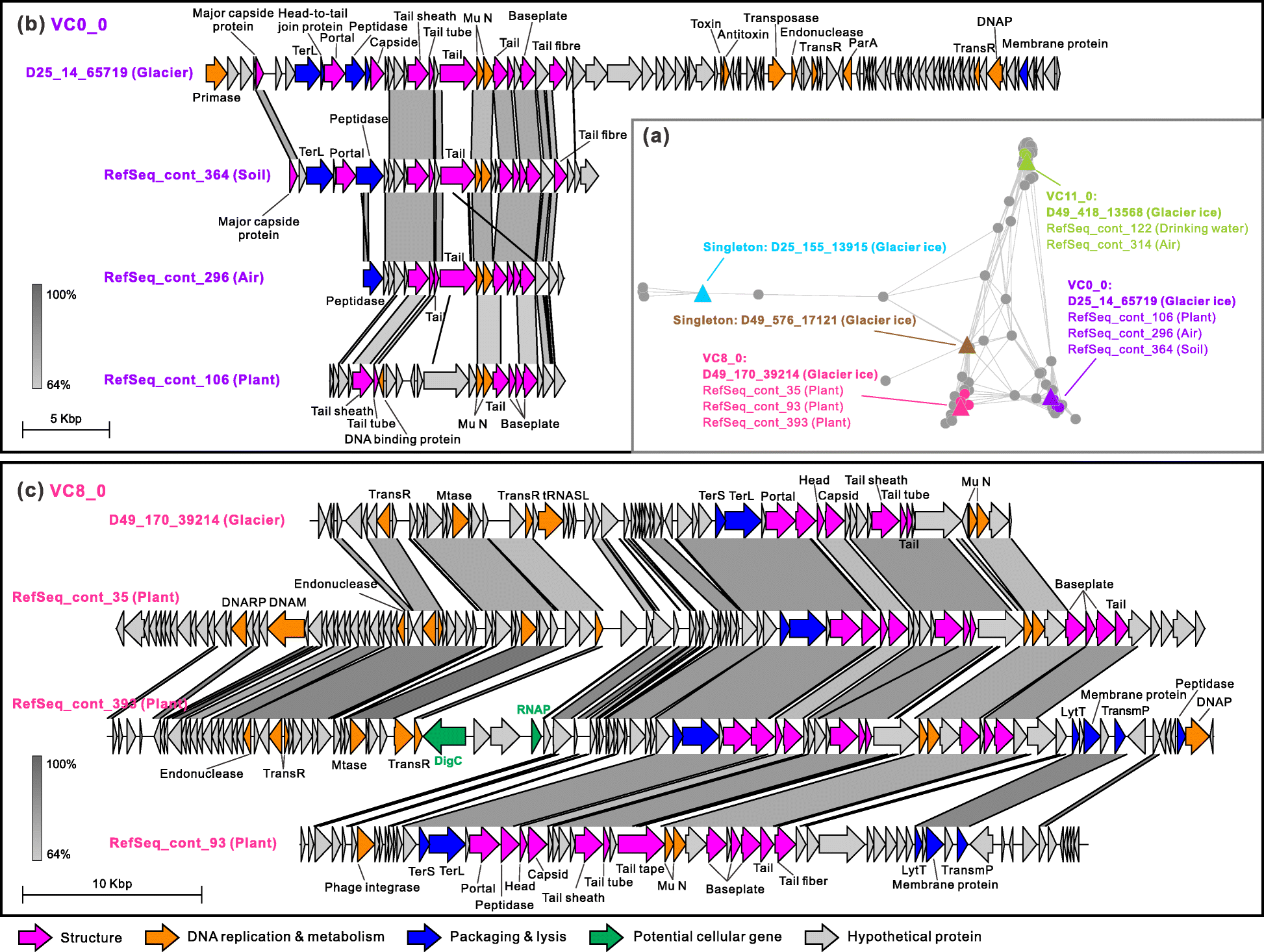 Fig. 5