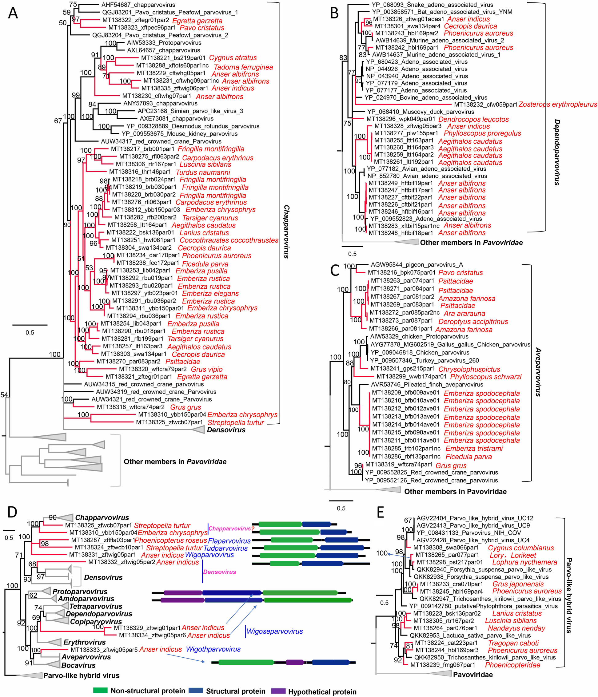 Fig. 7