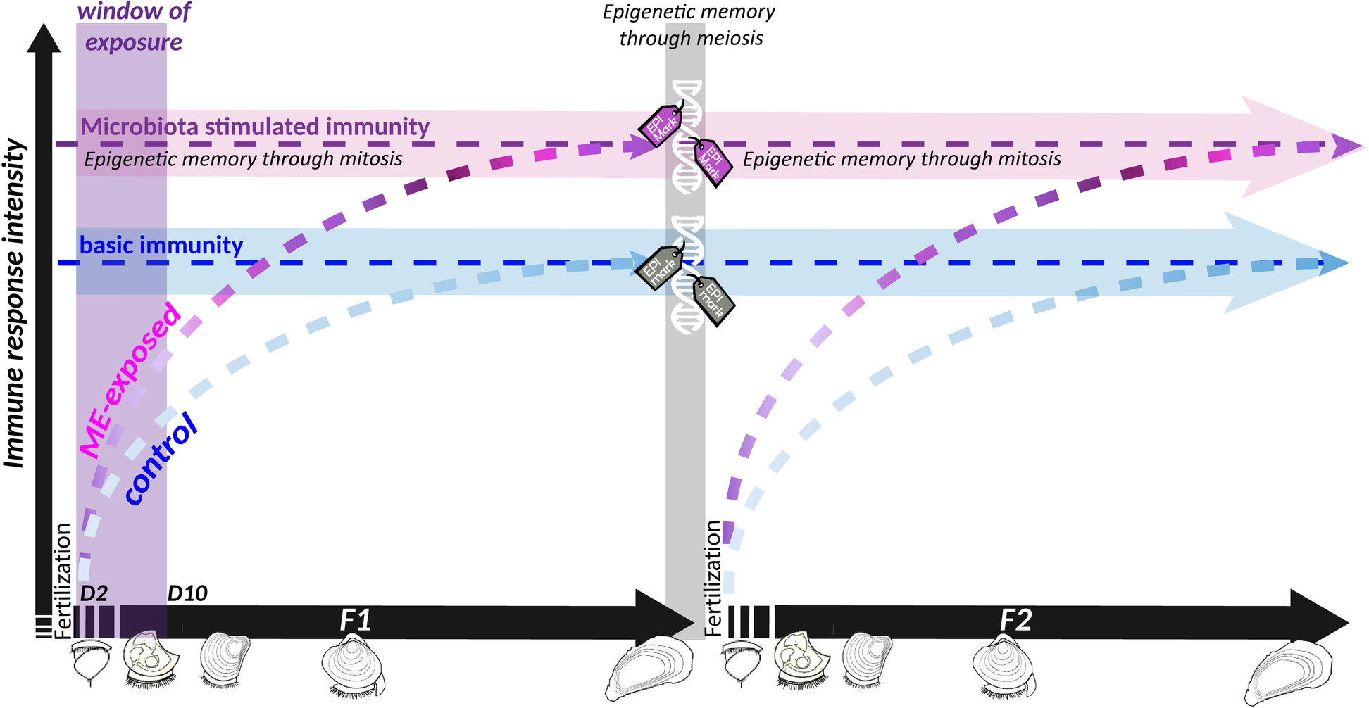 Fig. 9