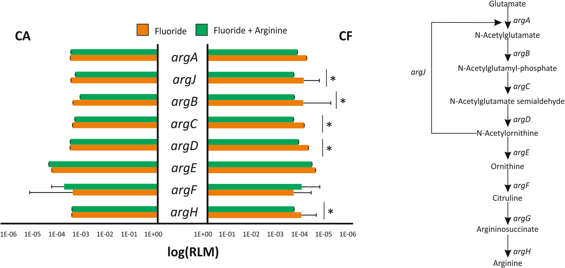 Fig. 7