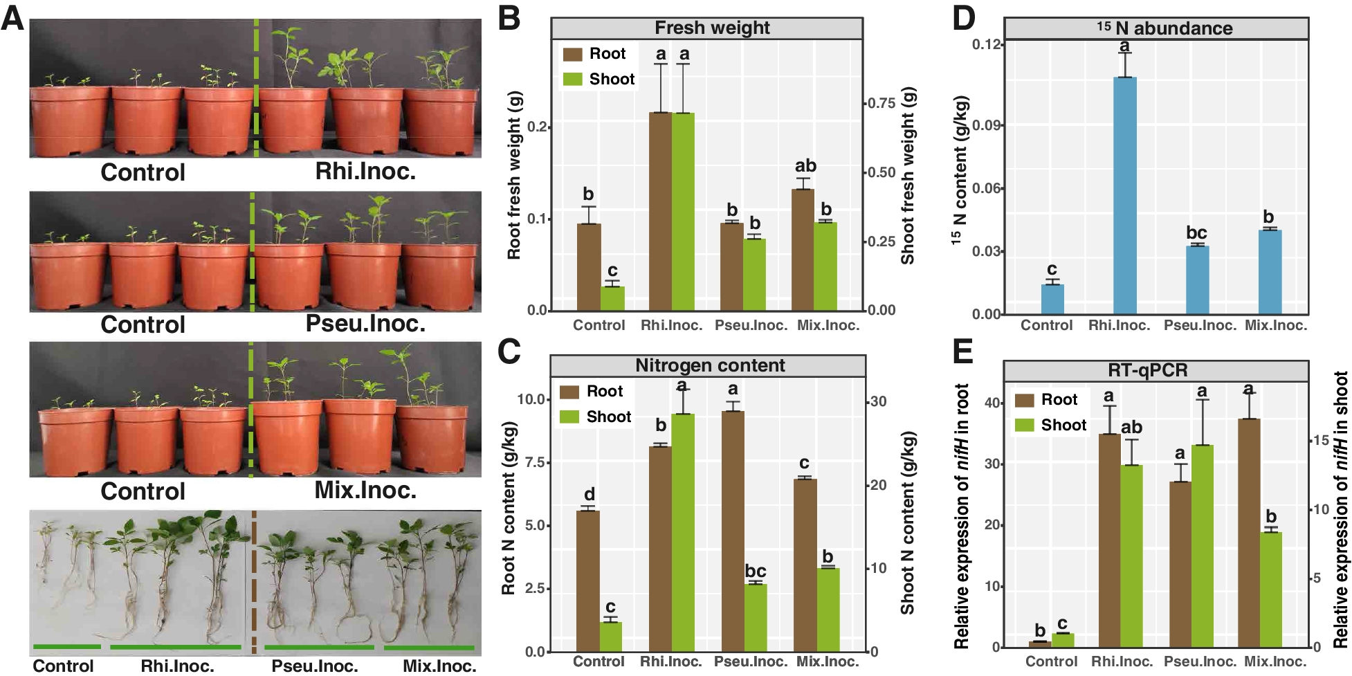 Fig. 4