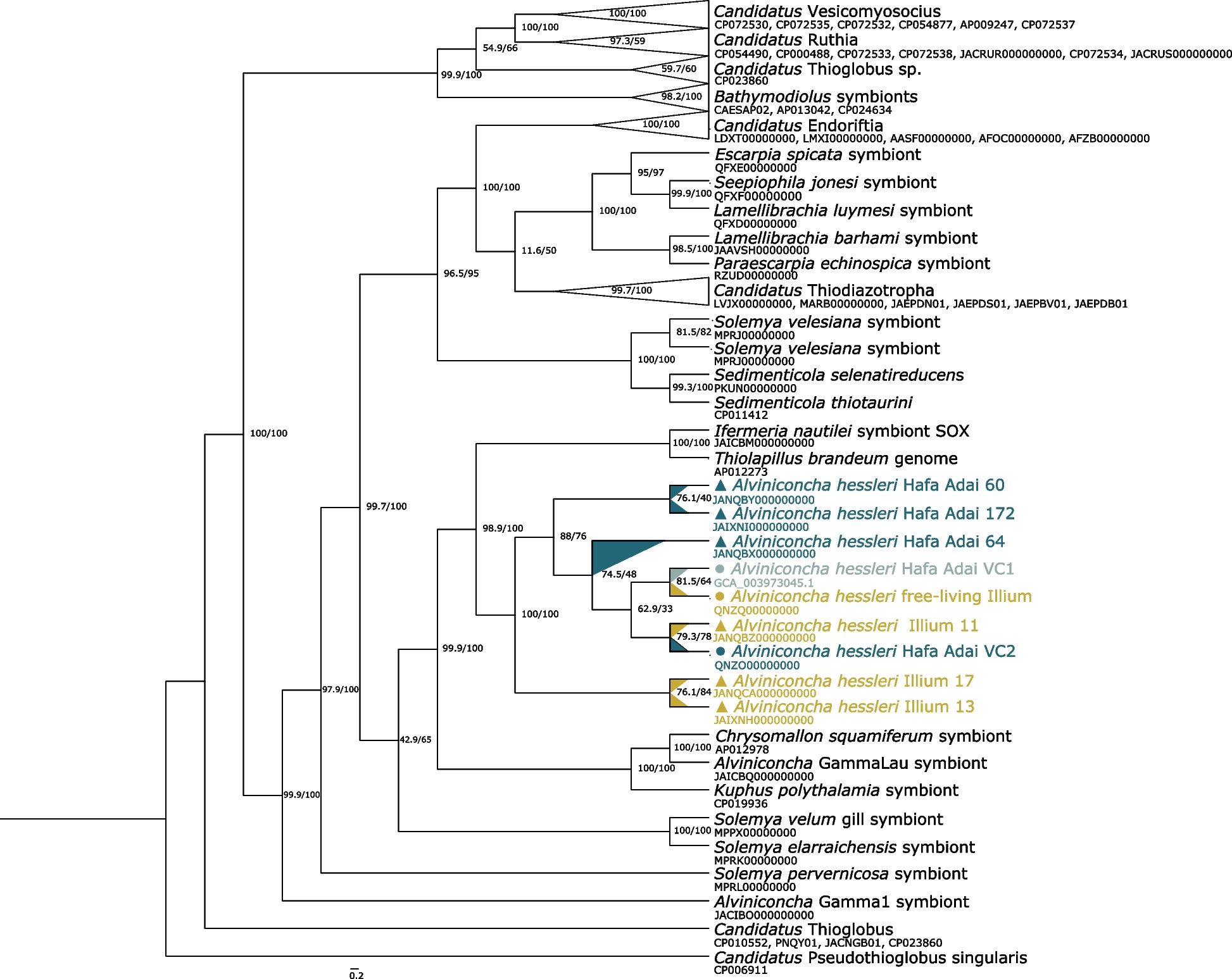 Fig. 2