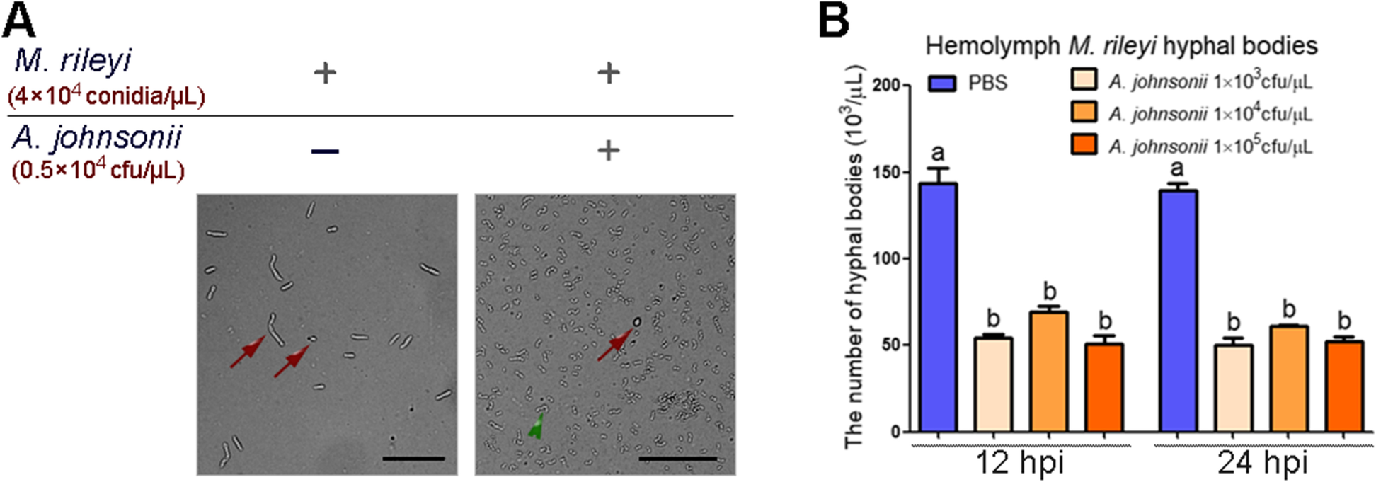 Fig. 9