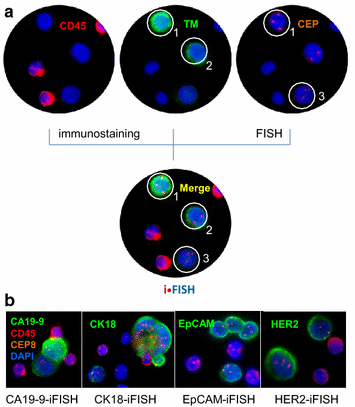 Fig. 3