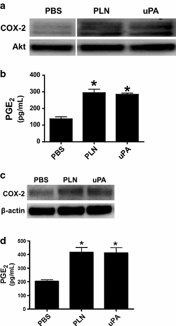 Fig. 11