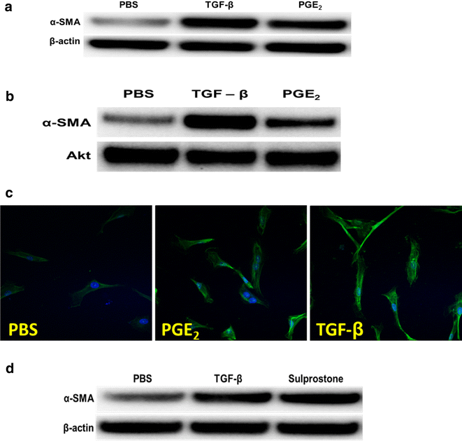 Fig. 12