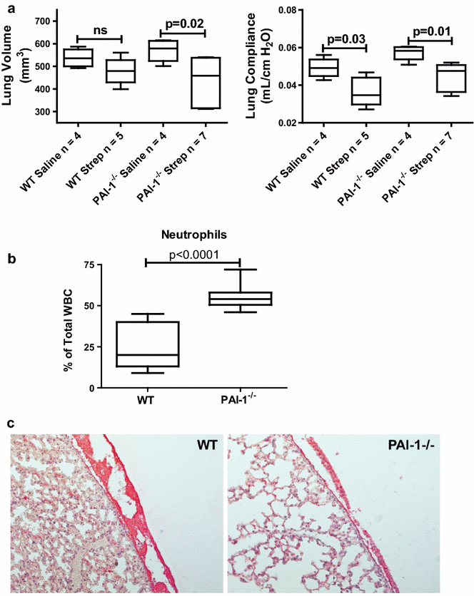 Fig. 8