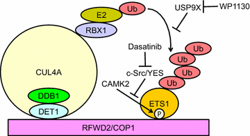 Fig. 2