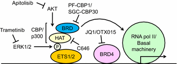 Fig. 3