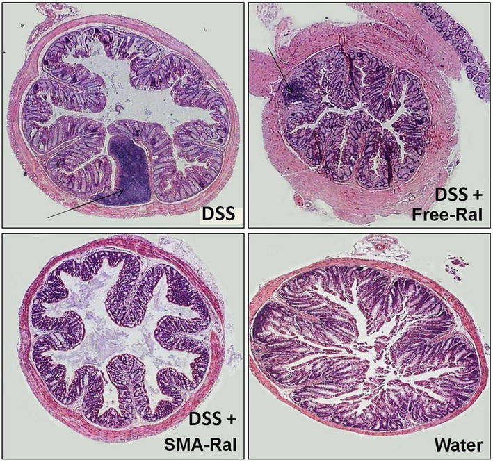 Fig. 5