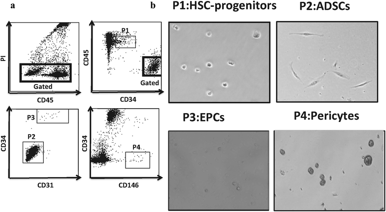 Fig. 6