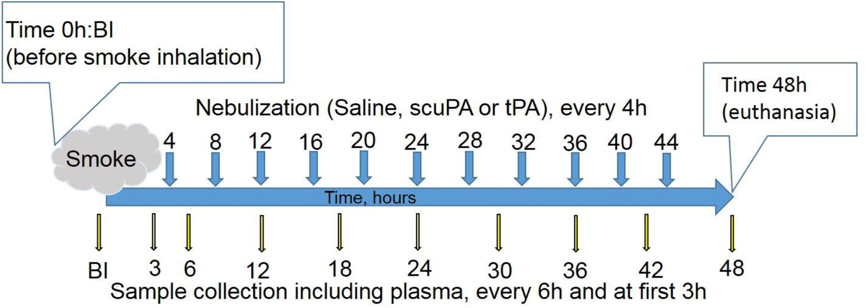 Fig. 1