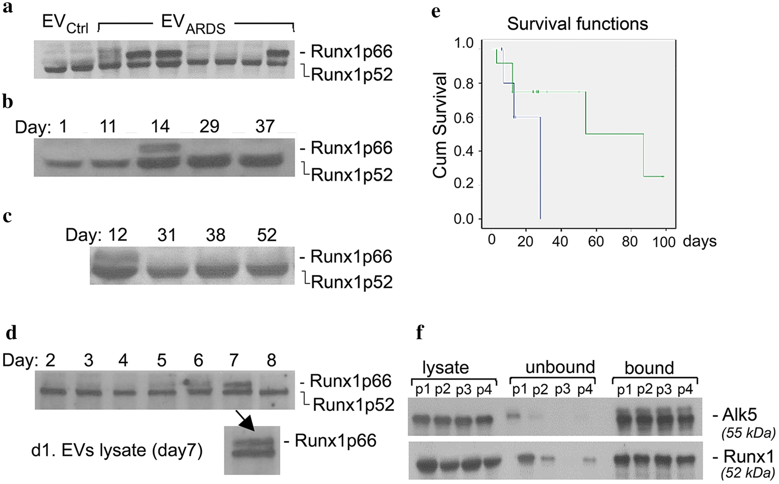 Fig. 4