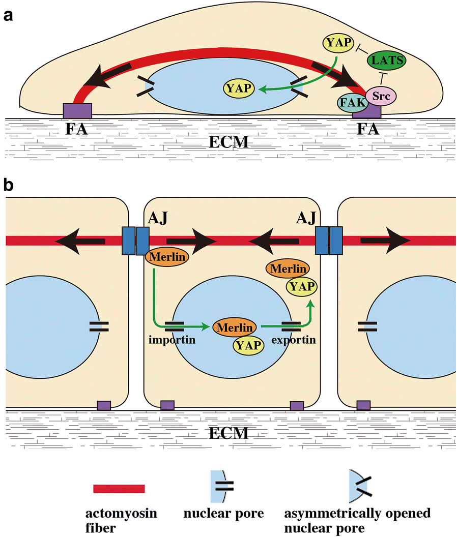 Fig. 4