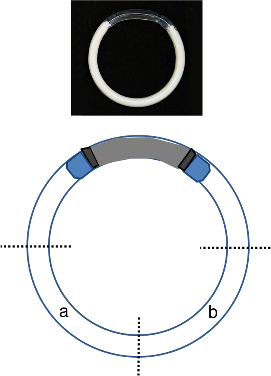 Fig. 1