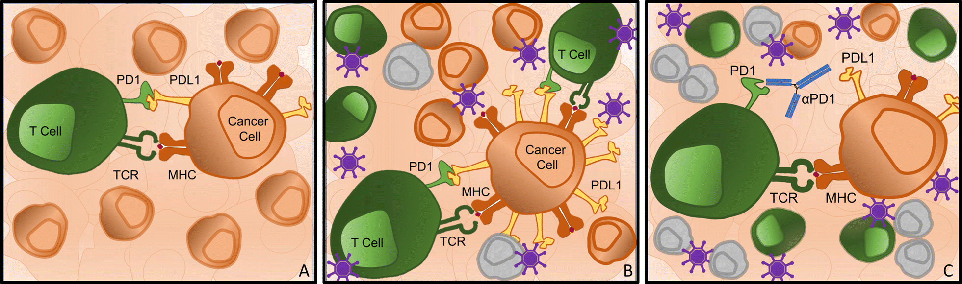 Fig. 2