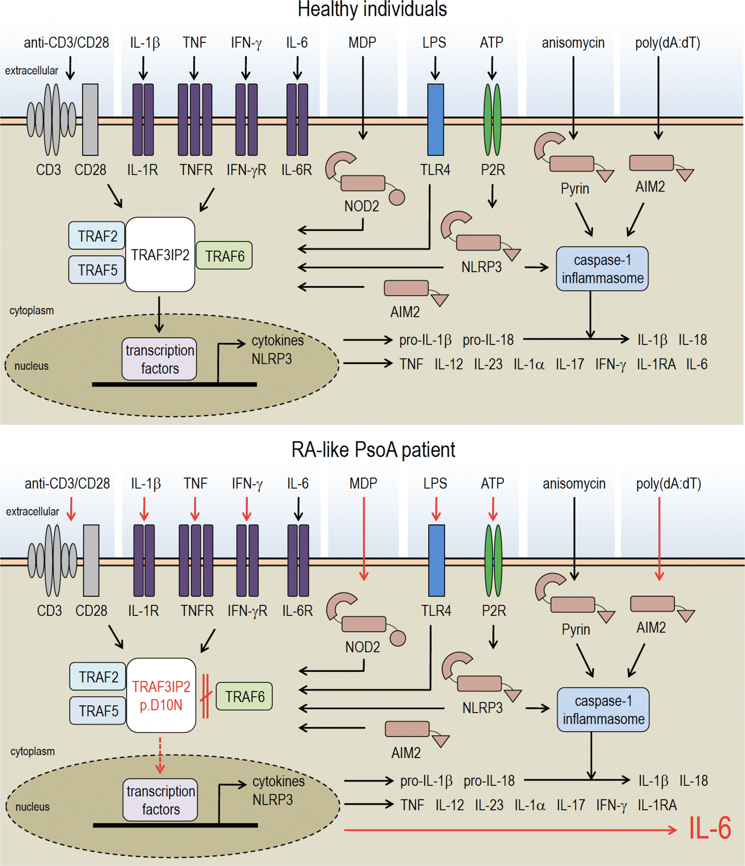 Fig. 3