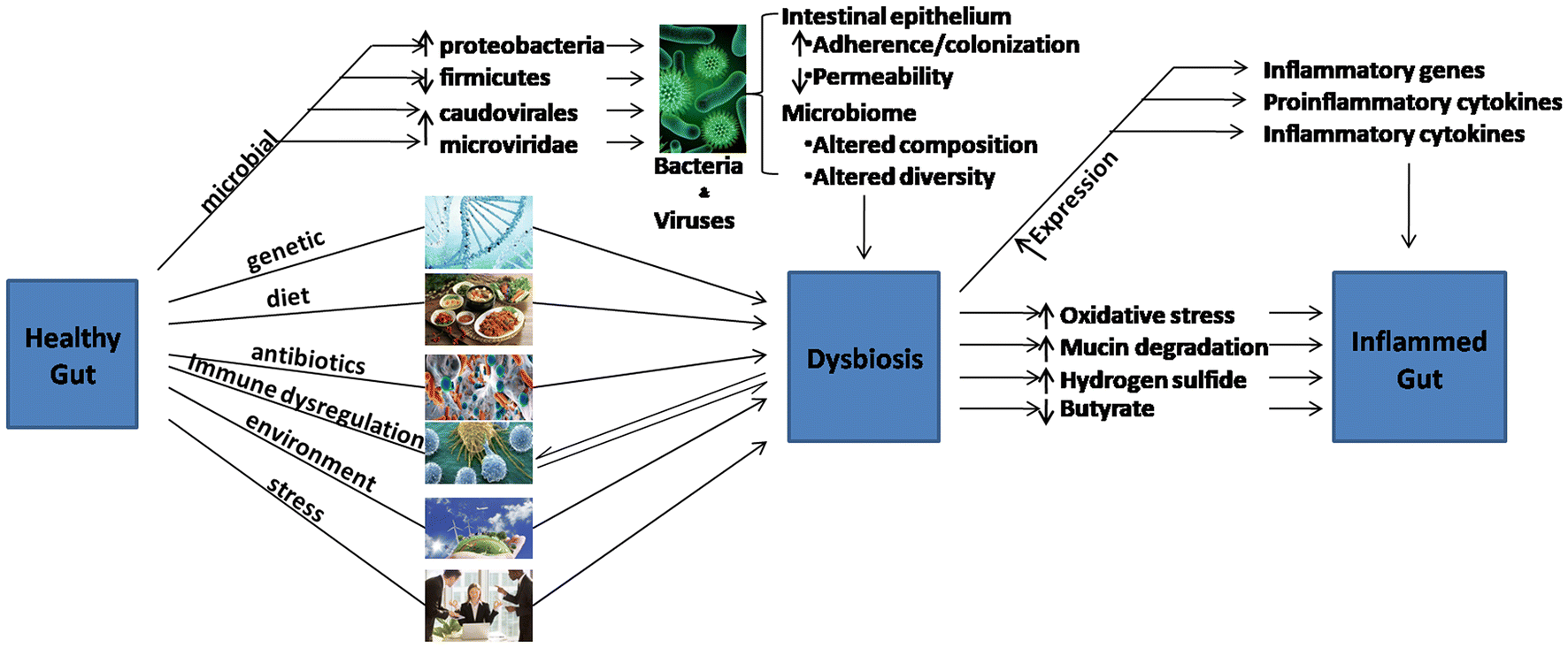 Fig. 1