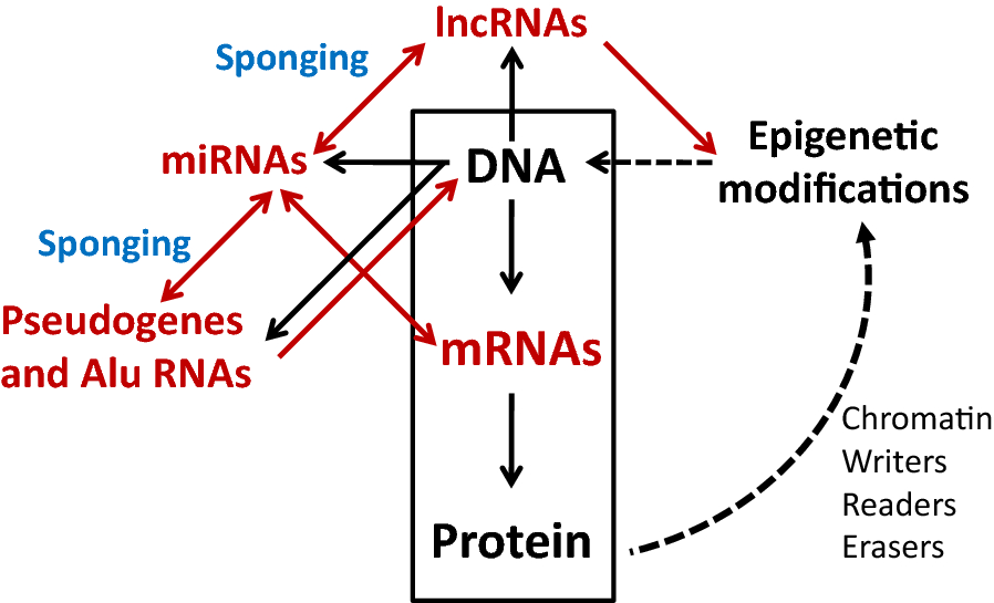 Fig. 1