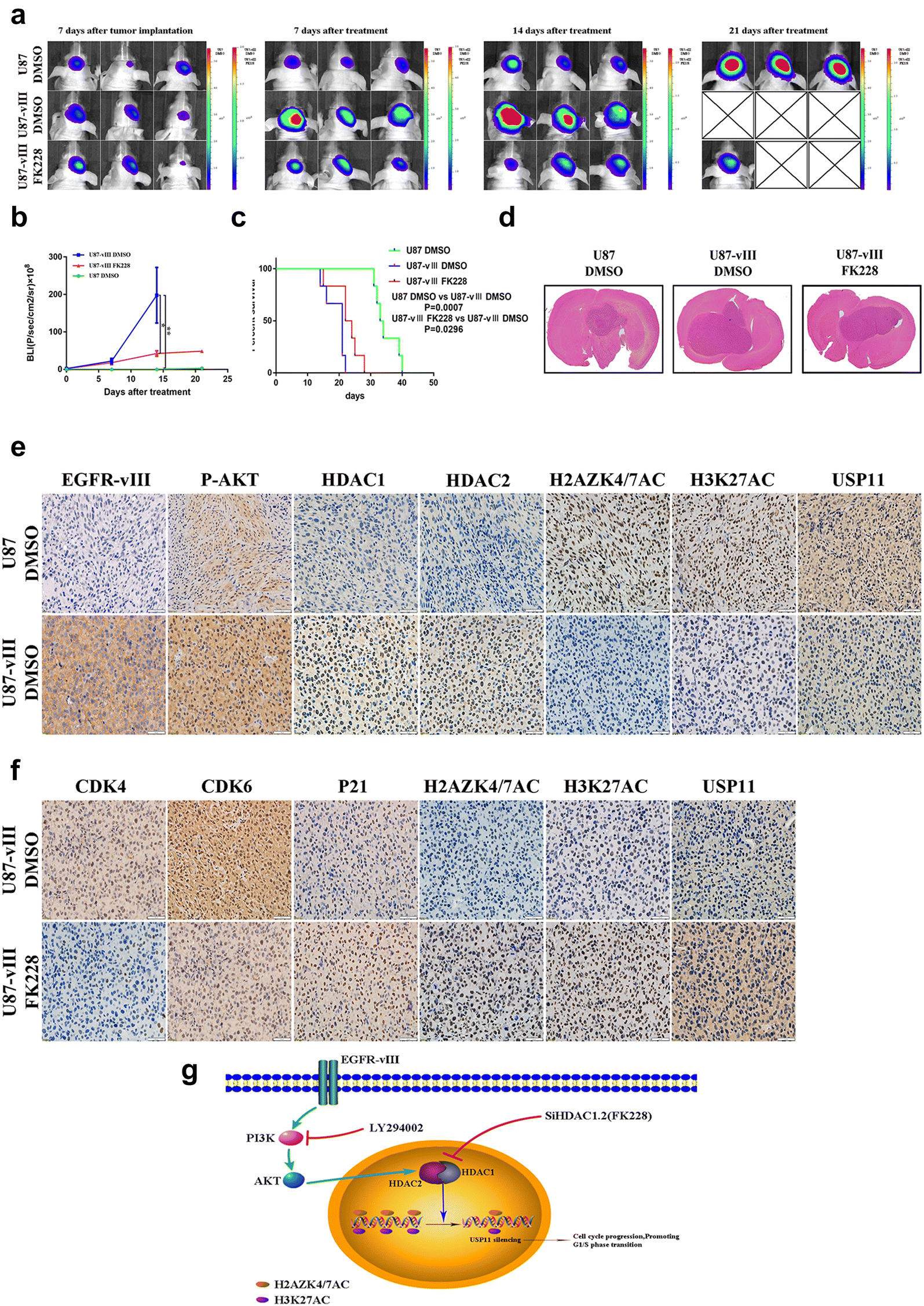 Fig. 7