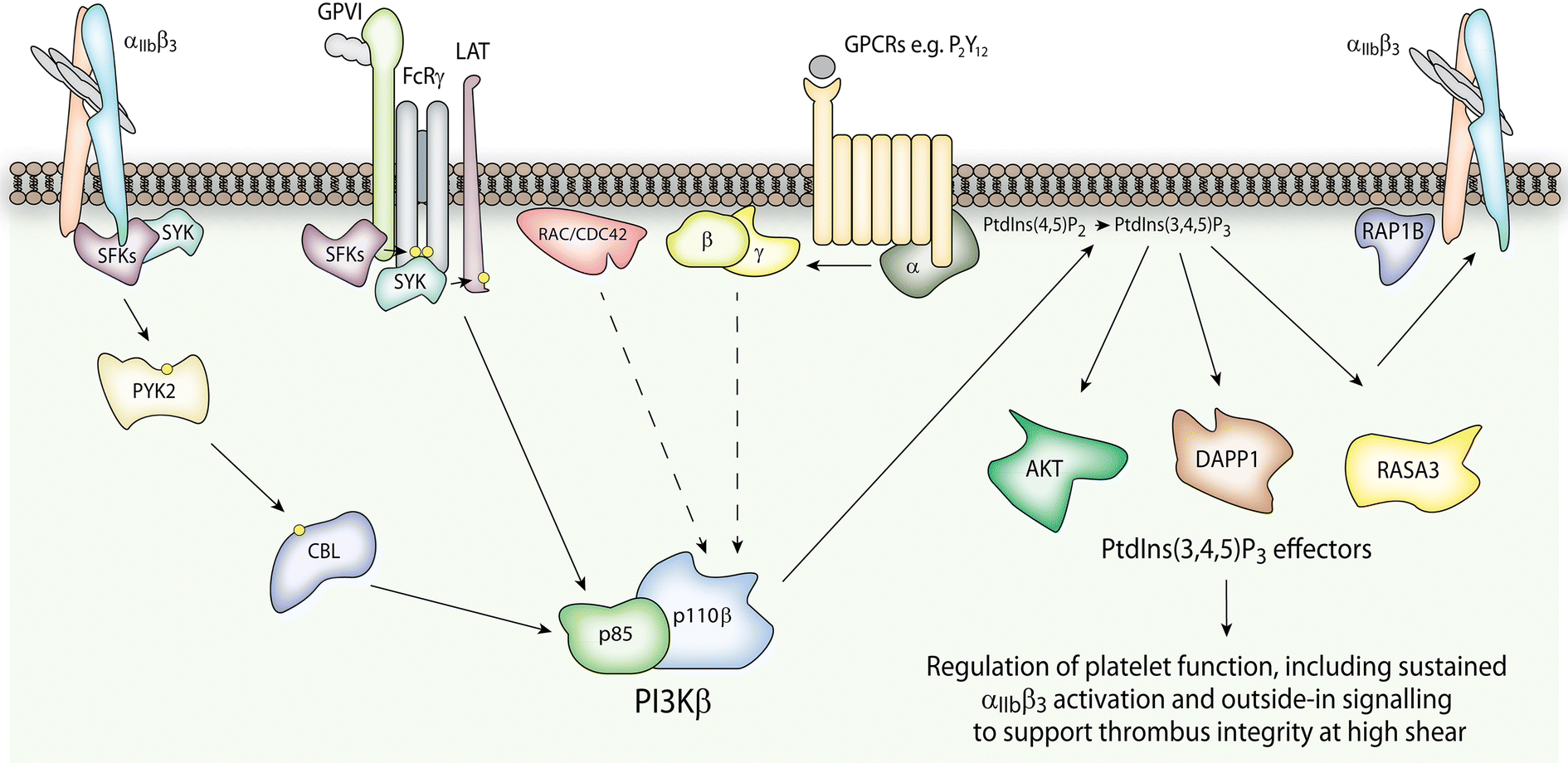 Fig. 3