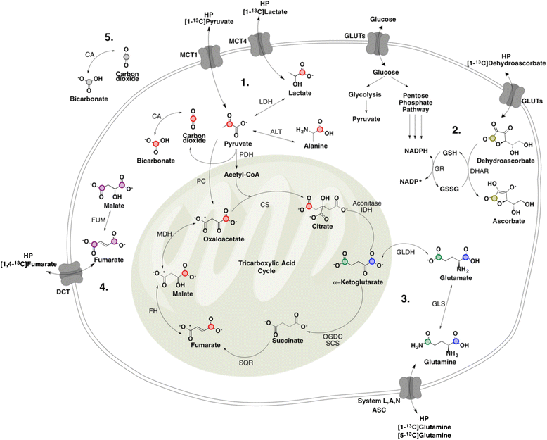 Fig. 4